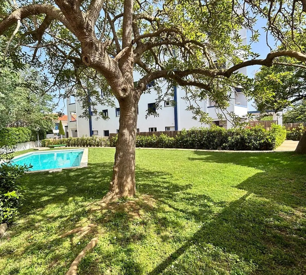 Apartment Swimming Pool And Private Garden 1 Step From The Beach Isla Roja Spain